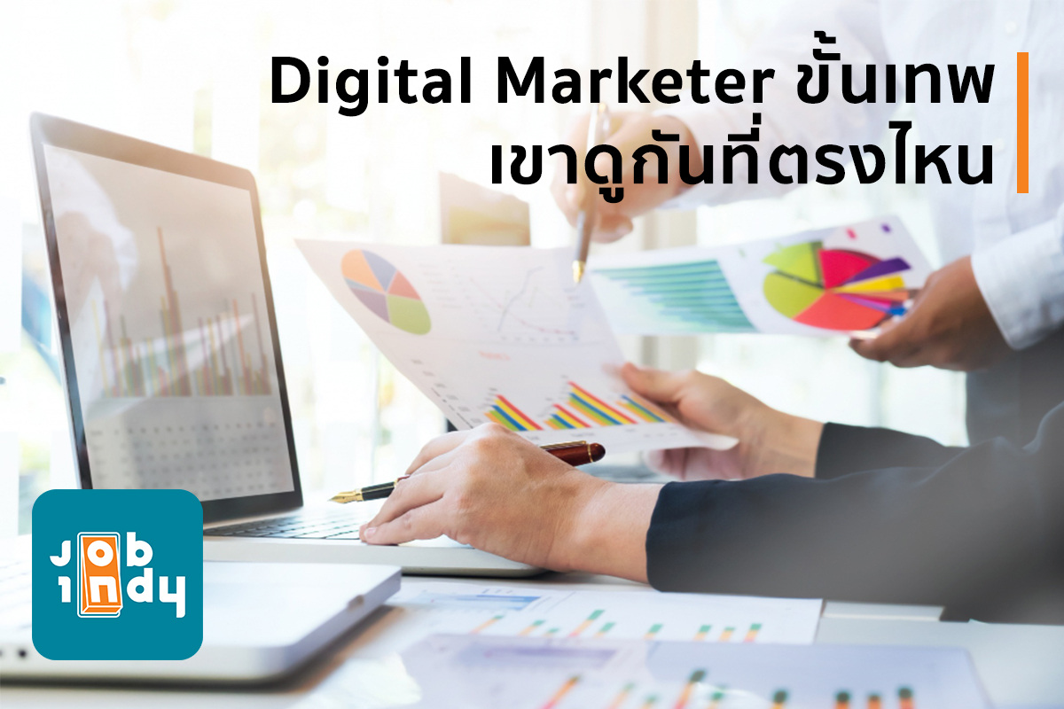 Great Digital Marketer, where do they look?
