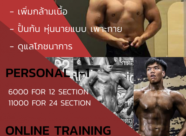 Online training /personal trainer 